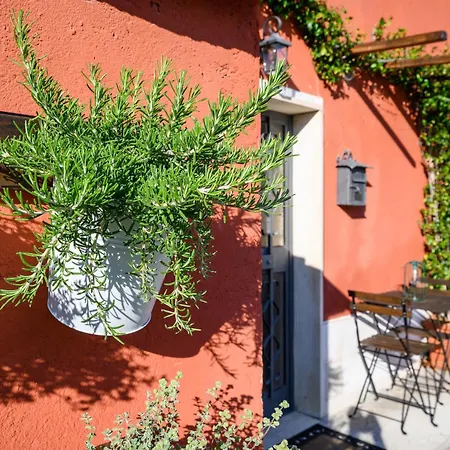 Casa Fulvia, Toscana Apartment Castroncello